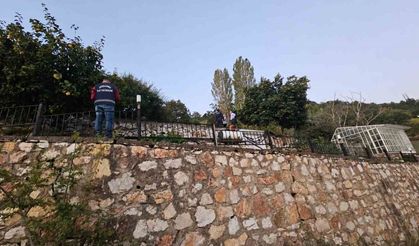 Bursa Orhangazi'de 30 güneş paneli çalındı, zarar 500 bin lira