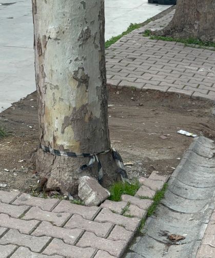 Çöp sanmıştı...Poşetin içinden deste deste dolar çıktı!