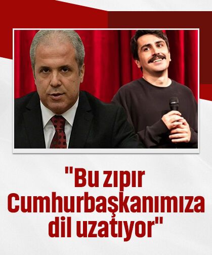 Şamil Tayyar'dan Deniz Göktaş'a sert tepki: "Bu zıpır Cumhurbaşkanımıza dil uzatıyor"