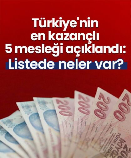 Türkiye'nin en kazançlı 5 mesleği açıklandı: Listede neler var?
