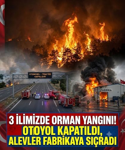 3 ilimizde orman yangını! Otoyol kapatıldı, alevler fabrikaya sıçradı