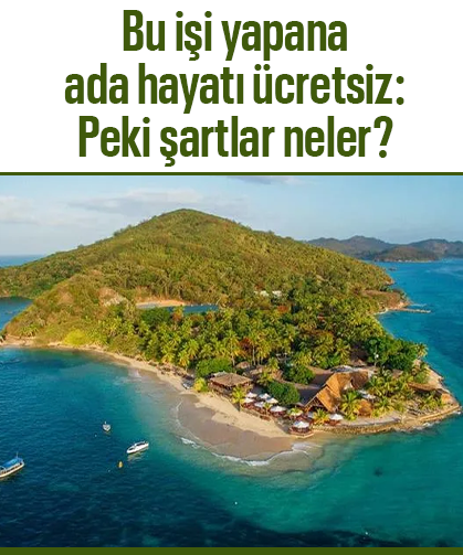 Bu işi yapana ada hayatı ücretsiz: Peki şartlar neler?