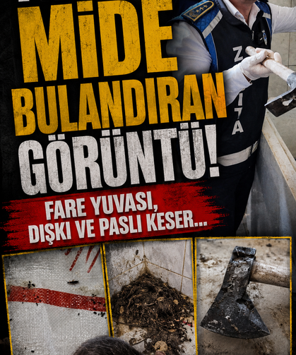 Fırında mide bulandıran görüntü! Fare yuvası, dışkı ve paslı keser...