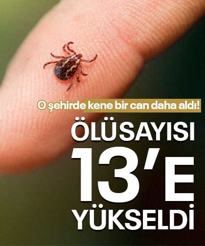 O şehirde kene bir can daha aldı! Ölü sayısı 13’e yükseldi