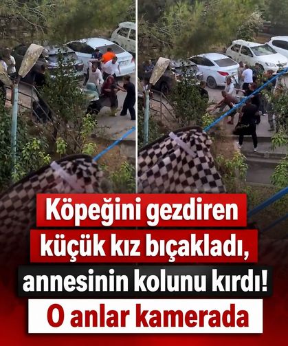 Köpeğini gezdiren küçük kızı bıçakladı, annesinin kolunu kırdı!