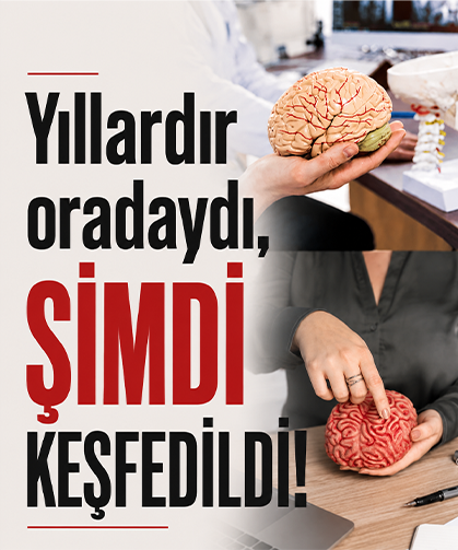 Yıllardır oradaydı, şimdi keşfedildi!
