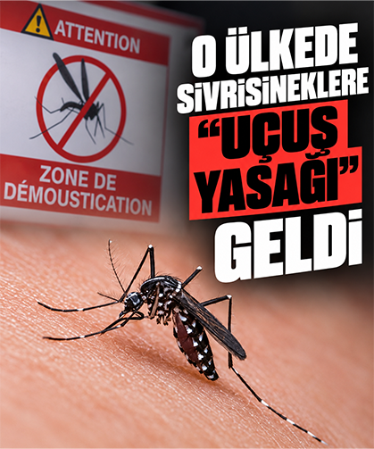 Fransa’da sivrisineklere “uçuş yasağı”: Karara uymayanlar yargılanabilir!