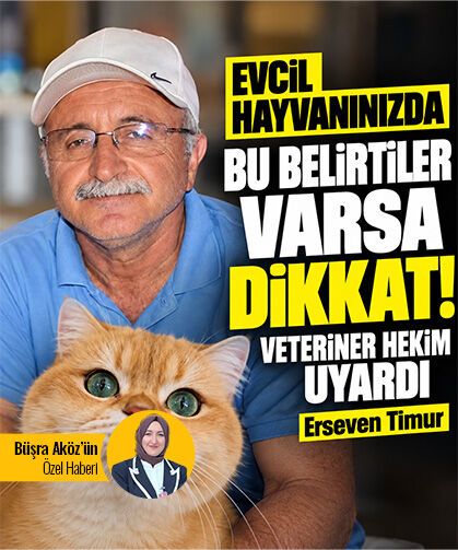Evcil hayvanınızda bu belirtiler varsa dikkat! Veteriner hekim uyardı