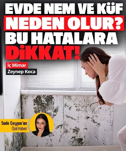 Evde nem ve küf neden olur? Bu hatalara dikkat!
