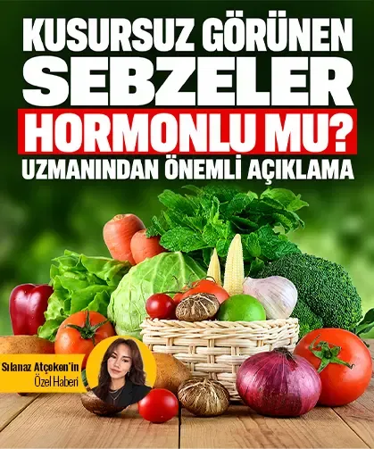 Kusursuz görünen sebzeler hormonlu mu? Uzmanından önemli açıklama