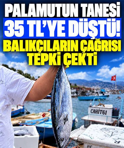 Palamutun tanesi 35 TL’ye düştü! Balıkçıların çağrısı tepki çekti