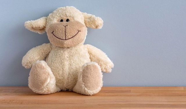 Bakanlık duyurdu: İthal oyuncaklara da denetim geliyor