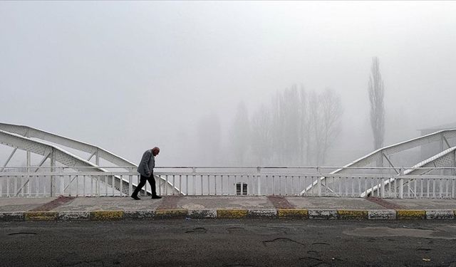 Erzurum, Kars ve Ardahan'da soğuk hava, sis ve kırağı etkisini artırdı