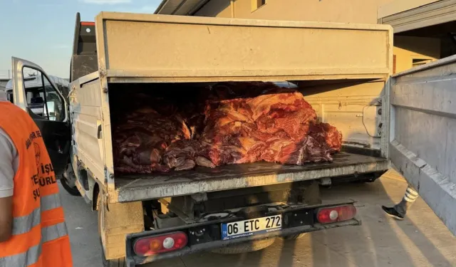 Piyasaya süreceklerdi: Adana'da 3 ton bozulmuş at eti ele geçirildi!