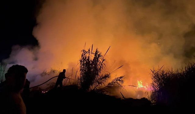 Hatay'daki korkutan sazlık yangını kontrol altına alındı