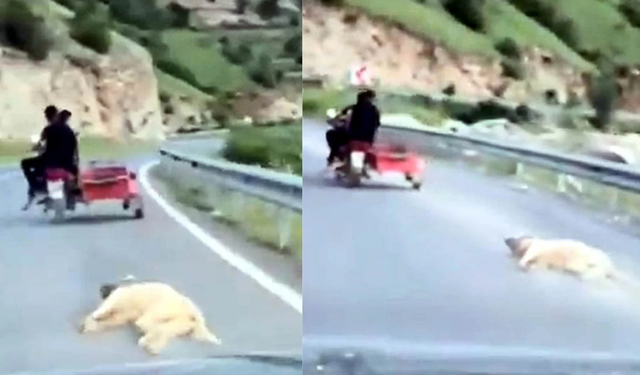 Bu nasıl insanlık? Köpeği motosikletin arkasına bağlayıp sürükledi!