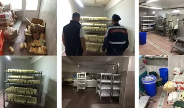 Peynir markası hileleri 'gece' taktiğiyle gizlenmiş: 5 tonluk gıda vurgunu ortaya çıktı!
