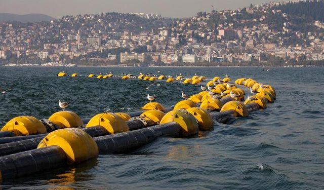 İstanbul Beykoz’da denize girmek yasaklandı!