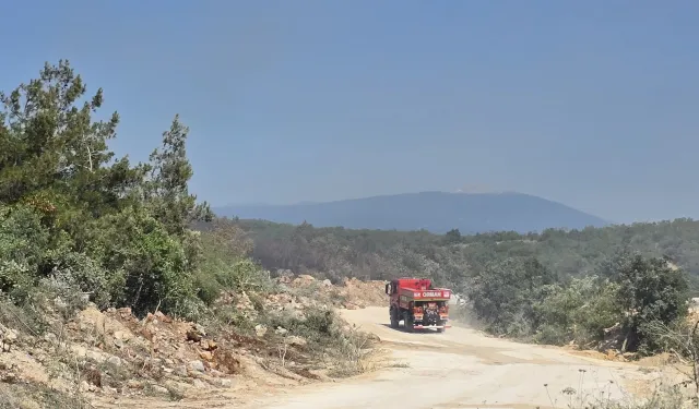 Bursa Nilüfer’de korkutan yangın!