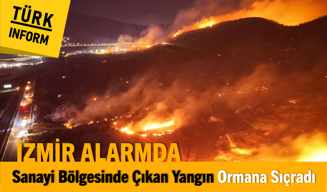 İzmir alarmda! Sanayi bölgesinde çıkan yangın ormana sıçradı