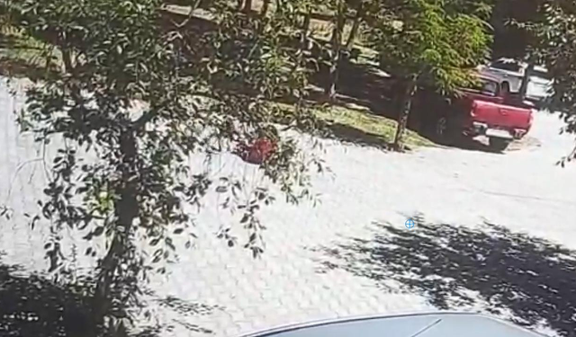 Başıboş köpeklerin hedefi oldu! Küçük çocuğu vatandaş böyle kurtardı