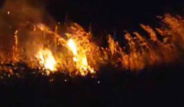 Düğün eğlencesi faciaya neden oldu! Havai fişek ormanı yaktı