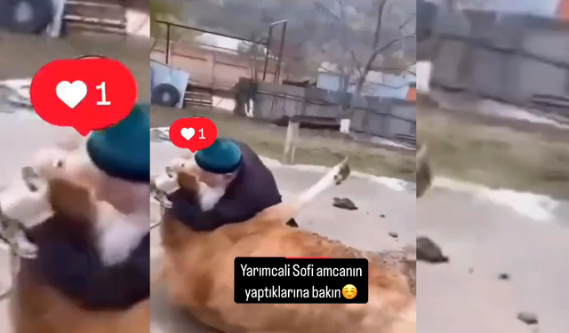 Kurbanı Tek Hamlede Yere Seren Dede Sosyal Medyada Gündem Oldu