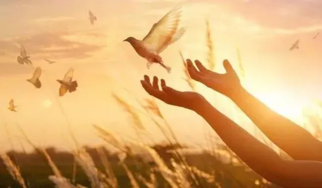 Bugün ne günü? 23 Ocak dünya karşılıksız iyilik günü nedir?