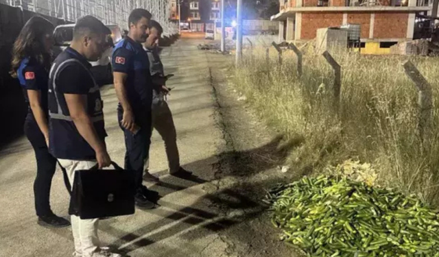 Kocaeli’de boş araziye salatalık döken kişiye şok para cezası!