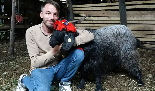 Trabzon’da 18 günlük mucize! ‘Şanslı’ keçi ölümden döndü'