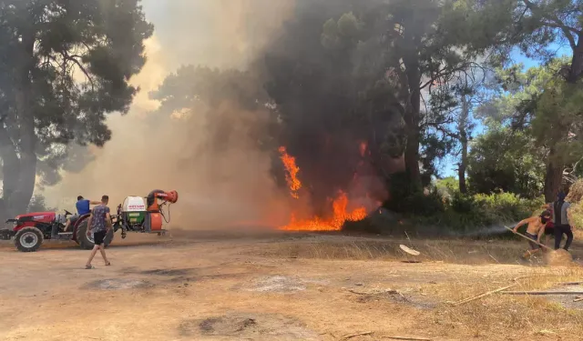 Antalya'da ormanlık alanda çıkan yangına müdahale ediliyor