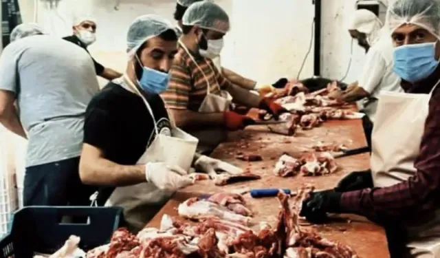 Vatandaşa yedireceklerdi: Binlerce kilo paça ve bağırsak ele geçirildi!