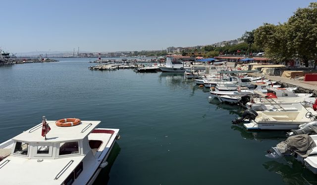 Marmara'nın altınları Tekirdağ tezgahlarında!