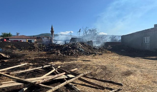 Tokat'taki yangında 1 ev ve 2 ahır küle döndü