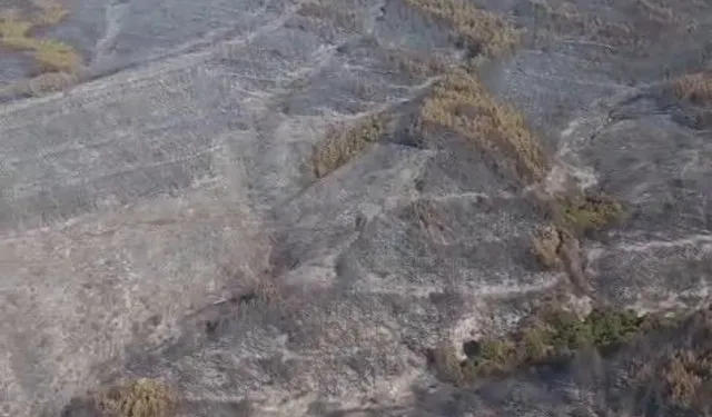 Tekirdağ Şarköy’deki yangın kontrol altına alındı!