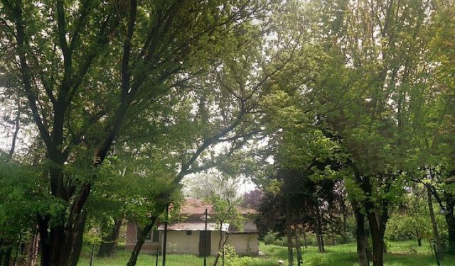 Atatürk Orman Çiftliği'nden kiralık depo ihalesi: Yenimahalle'deki iki taşınmaz açık artırmaya çıkıyor!