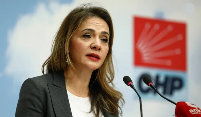 CHP’li Gamze Akkuş İlgezdi’den ısınma yardımı tepkisi: “Isınmak lüks oldu”