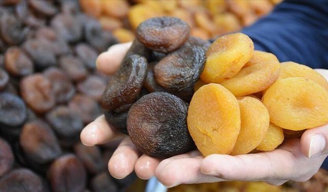 Malatya'dan dev ihracat