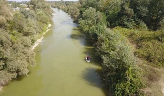 Sakarya Nehri'nden acı haber!