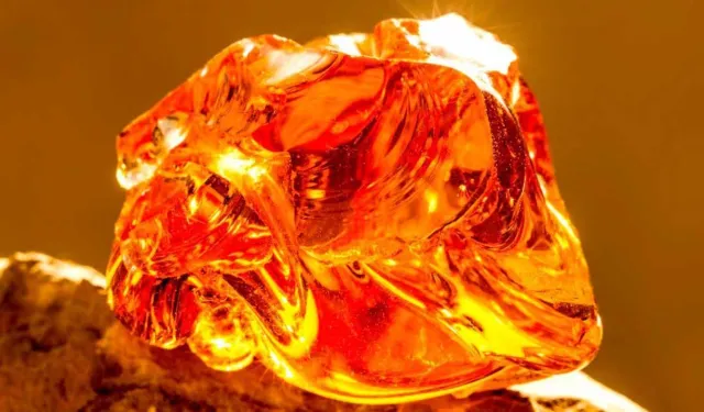 Amber nedir? Amber kokusu nasıldır, neye benzer?