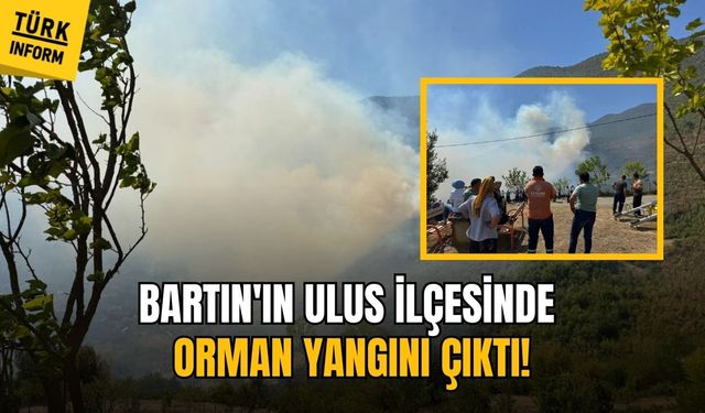 Bartın'ın Ulus ilçesinde orman yangını çıktı!