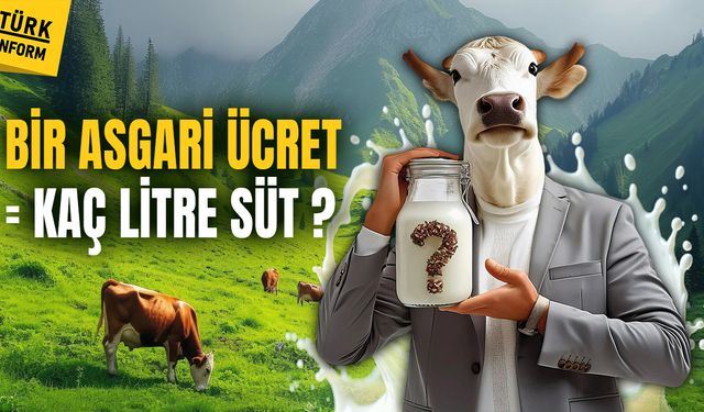 Türkiye, bir asgari ücrete kaç litre süt alınır araştırmasında sınıfta kaldı