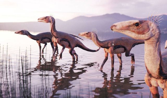 Unutulmuş fosil dinozorların evrimini yeniden yazabilir