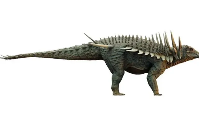 Fas'ta yeni bir dinozor türü keşfedildi!
