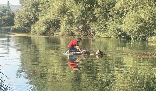 Balık tutmak isterken canından oldu