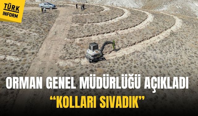 Orman Genel Müdürlüğü Ankara'da kolları sıvadı