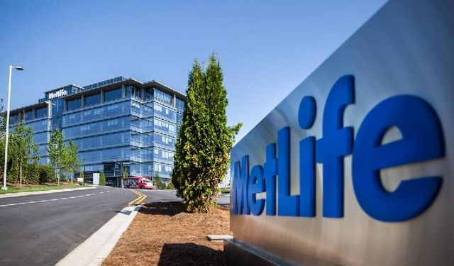 MetLife nedir, hangi hizmetleri sunar, sigorta ve emeklilik alanındaki avantajları nelerdir?