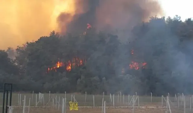 Antalya’da yangın alarmı: 125 noktada “acil kod” uygulaması