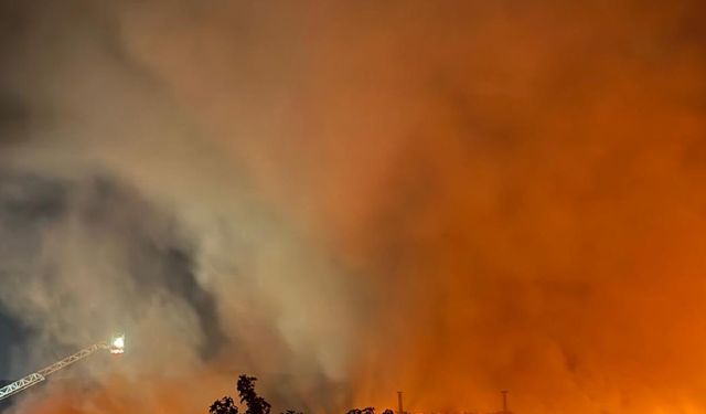 Ankara'yı etkisi altına alan yangın kokusunun nedeni belli oldu