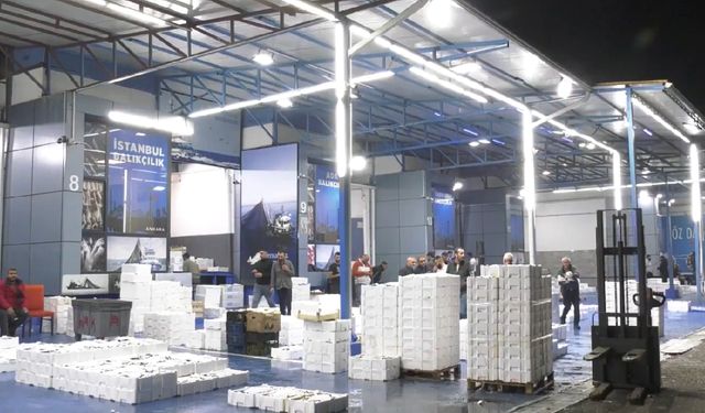 Balık sezonu açıldı: Ankara'da denetimler başladı